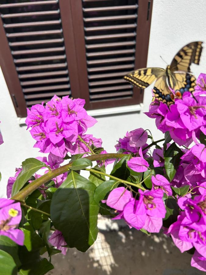 Garden Apartment Dina With Free Parking สปลิท ภายนอก รูปภาพ